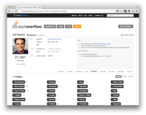 Stack Overflow profile example