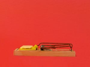 Mouse trap: A metaphor for online auctions