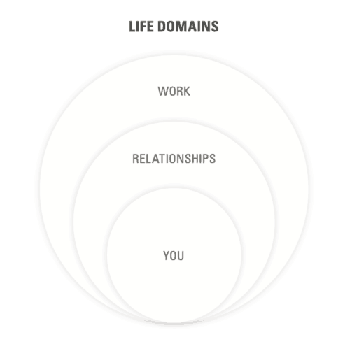 The proportions of life domains work relationship and you in circles