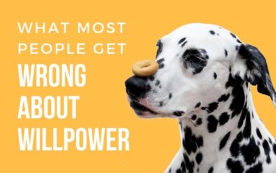 This is What Most People Get Wrong About Willpower