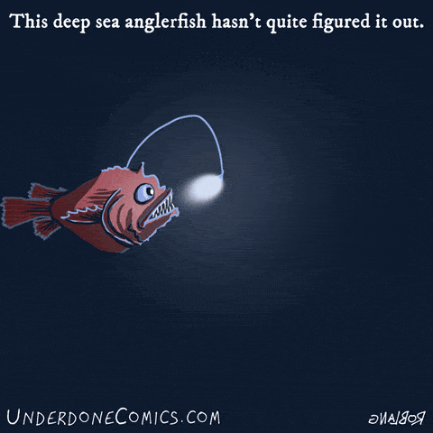 angler fish swimming in circles
