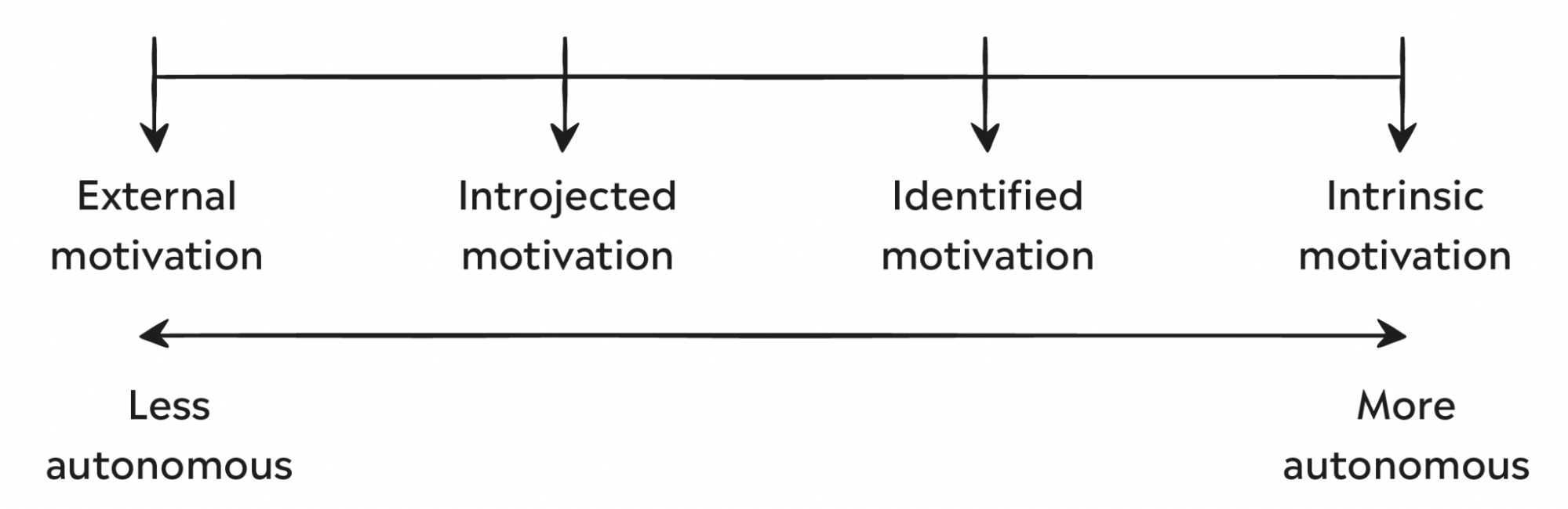 Linear spectrum of different types of motivation between intrinsic and extrinsic.