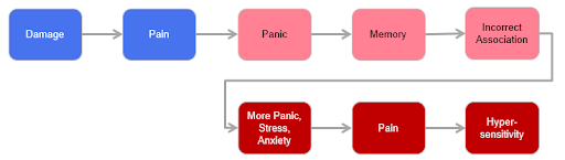 chronic-pain-diagram-2 Diagram of: Damage → Pain → Panic → Memory → Incorrect association → More Panic, Stress, Anxiety → Pain → Hypersensitivity