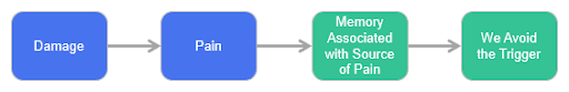 chronic-pain-diagram Diagram of: Damage → Pain → Memory associated with sosource of pain → We avoid the trigger.